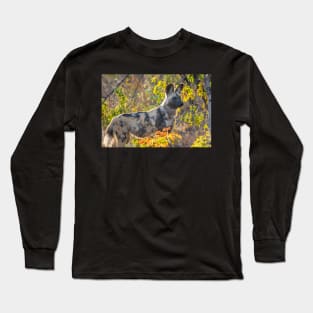 African Painted Dog #2, Hwange National Park, Zimbabwe Long Sleeve T-Shirt